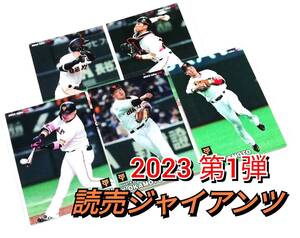 2023　第1弾　巨人　レギュラーカード　全5種セット　★　カルビープロ野球チップス　吉川　坂本　丸　大城　岡本　読売ジャイアンツ