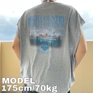 ハーレーダビッドソン ノースリーブ プリントTシャツ カットオフ グレー USA