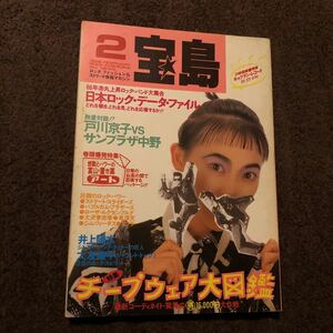 音楽 雑誌「宝島 1986年 2月号」中古 戸川京子 サンプラザ中野 井上陽水 ストリートスライダーズ