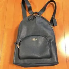 coachコーチキャリーバックパック（未使用品）