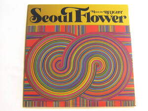 SEOUL FLOWER MIXED BY DJ LIGHT 新品、