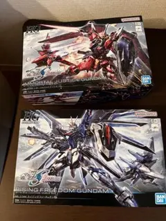 HG ライジングフリーダムガンダム＆イモータルジャスティスガンダム　２体セット