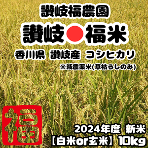 令和6年度 新米 コシヒカリ 10kg 白米 讃岐福米 香川県産 農家直送