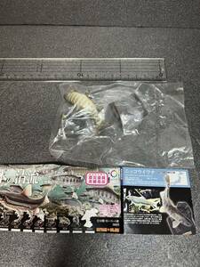 日本の清流　単品　ニッコウイワナ　ガチャ　フィギュア　ネイチャーテクニカラー　　淡水魚　ネコポス、定形外郵便不可