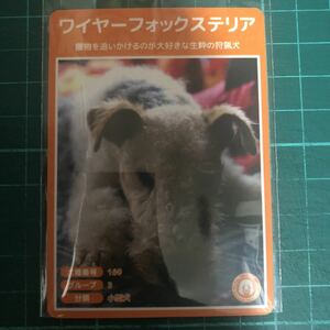 【犬種図鑑カード】 No.059 ワイヤーフォックステリア