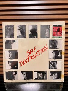 SELF DESTRUCTION 12inch LP レコード