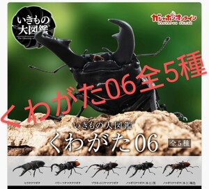 ●いきもの大図鑑 くわがた06 全5種●ヒラタクワガタ他 BANDAI ガシャポン③