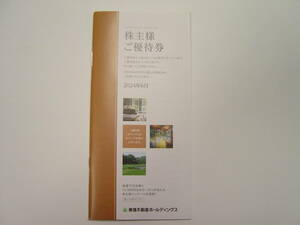 ◆東急不動産ホールディングス株主優待券 1冊20枚綴 2024年6月分 送料無料◆