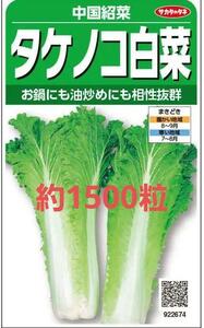 未開封＜野菜の種＞約1500粒　タケノコ白菜　中国野菜　紹菜　竹の子ハクサイ