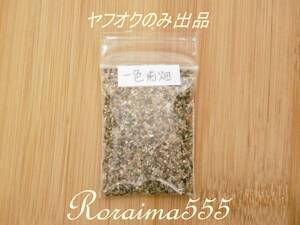 一色前畑海岸の砂　ヤフオクのみ出品！　愛知県　Beach Sand　Japan Aichi Prefecture