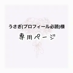 うさぎ(プロフィール必読)様専用ページ