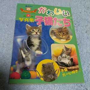 【貴重な資料！】かわいい子猫たち 写真集 ダイソーどうぶつシリーズ4【本のみ】