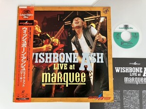 【レーザーディスク】ウィッシュボーン・アッシュ WISHBONE ASH/LIVE at marquee 帯付LD VPLR70132/Andy PowellThe King Will Come