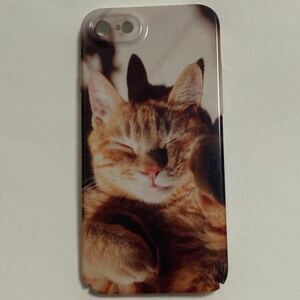 新品 iphoneケース 7/8/SE2.3用 実写の猫のスマホケース　cat ネコかわいい　可愛い 癒し 写真 cat アニマル　動物 トラ猫　茶トラ