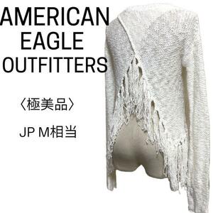 2210-P-139 AMERICAN EAGLE アメリカンイーグル アウトフィッターズ ラップバック フリンジ シアー ニット 大人かわいい 大人フェミニン