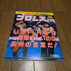 週刊プロレス No407/1990年/前田日明/UWF分裂騒動/武藤&蝶野vs馳&健介/長州vs橋本/藤波vsシン/ライガーvsペガサス/ハンセン