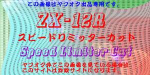 Kawasaki ZX-12R ZX12R スピードリミッターカット リミッター解除