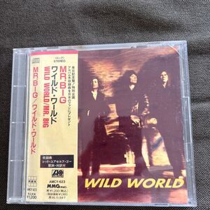 ワイルドワールド／ＭＲ．ＢＩＧMR.BIG / ワイルド・ワールド AMCY623 WILD WORLD 帯付き