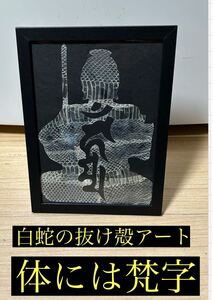 白蛇の抜け殻アート 不動明王 蛇の抜け殻 金運 開運 魔除け 家内安全