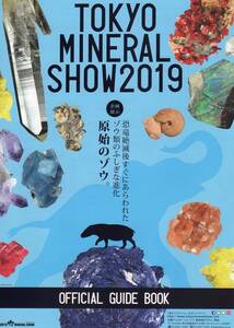 エメラルド原石 母岩には金属類も付着しています！ 置き飾り 438ｇ：約９×8×6㎝　TOKYO MINERAL SHOW　で購入しました！