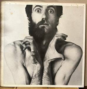 盤良好 ピーター・ハミル Peter Hammill フューチャー・ナウ The Future Now LP 日本盤 ロック名盤 RJ7523