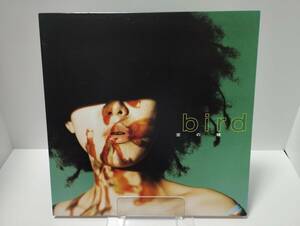 bird ／ 空の瞳 ／ 中古レコード 12インチ