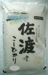 【送料無料】令和6年度産 新米　佐渡産こしひかり5キログラム×26