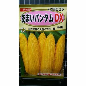 ３袋セット あまい バンタム DX トウモロコシ 種 郵便は送料無料