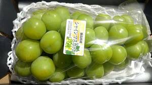 特大! 徳島県産 シャインマスカット 秀品 特大房 5L以上 1房 (約800g以上)