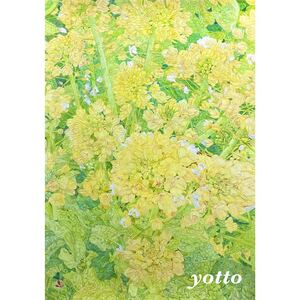 色鉛筆画【 菜の花 〜 小さな喜び 〜 】Ａ２・額付き◇◆手描き◇原画◆yotto ◇