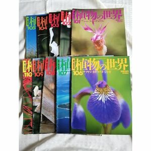 【植物の世界10冊セット】 101~110（週刊朝日百科）