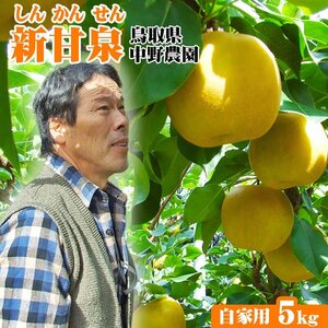 ☆鳥取県産 新甘泉【8月下旬～9月中旬予約順に出荷】5ｋｇ箱8～18玉入なしナシ梨20世紀しんかんせん新5