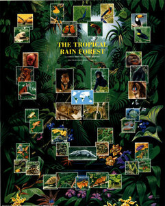 熱帯雨林の動物 ポスター（ミニサイズ）〔新品〕 HB-8535