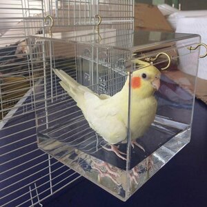 ほとんどの鳥かごペットオウムセキセイインコオカメインコケージ水シャワーの吊りフック付き鳥浴槽ケージ鳥風呂ハウス HD202