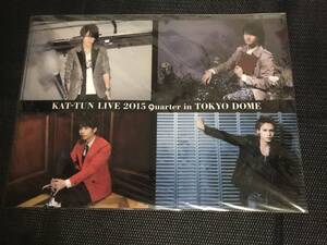 KAT-TUN クリアファイル　東京ドーム　２０１５