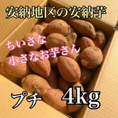 売り切れゴメン‼︎【正真正銘】種子島安納地区の安納いも　プチ　4kg