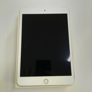 Appl iPad mini 4 Wi-Fi Cellular 16GB