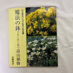 わが家はいつでも天上の花園 魔法の鉢ですくすく育つ高山植物　古本　大野月子