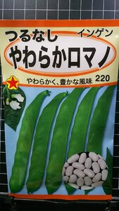 ３袋セット つるなし やわらか ロマノ インゲン 種 郵便は送料無料