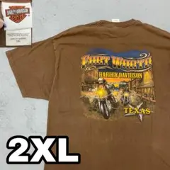 WA613【ハーレーT】ハーレーダビッドソン　Texas Tシャツ