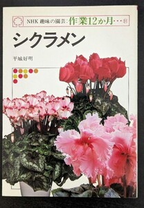 シクラメン （ＮＨＫ趣味の園芸・作業１２か月　３１）