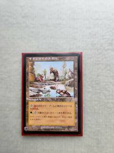 【美品】MTG　　ヤヴィマヤのうろ穴 日本語版