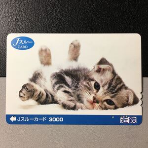 近鉄/2001年度発売開始柄ー動物「仔猫(車内販売用)」ーJスルーカード(使用済)