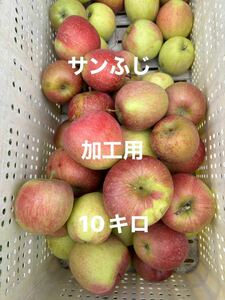 サンふじ　加工用　摘果りんご　10キロ　葉とらずりんご