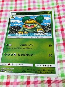 ポケモンカード ポケカ ミラーカード ハヤシガメ