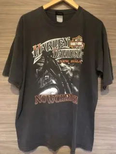 ハーレー　ヴィンテージ  Tシャツ　harley キムタク　菅田将暉