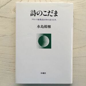 詩のこだま フランス象徴詩と日本の詩人たち/水島裕雅