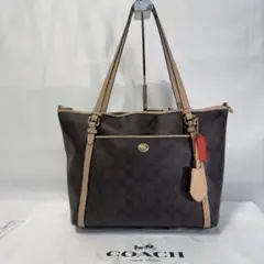 コーチ　coach ハンドバッグ　CC柄 132