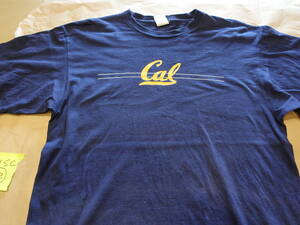 Vintage Nike Jordan Cal State Bears T-Shirt 米国製　サイズｍ