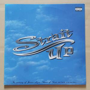 即決！輸入盤2LP『V.A. / Strait Up』2000年 In Memory of James Lynn Strait of Snot トリビュート USモダンヘヴィネス ミクスチャー 